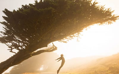 Lessons learned while working at a startup (or smart-up, as I call it)