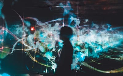 The 7 Steps to Digital Performance Management