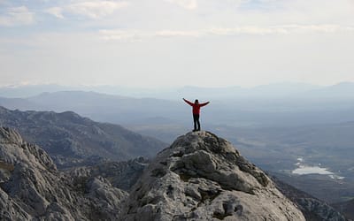 What does high performance mean to you?