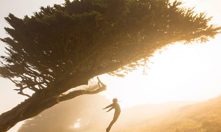 Lessons learned while working at a startup (or smart-up, as I call it)