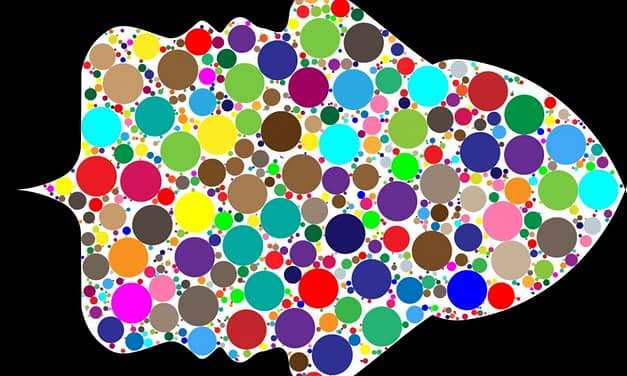 Jim Berrisford on joining the dots