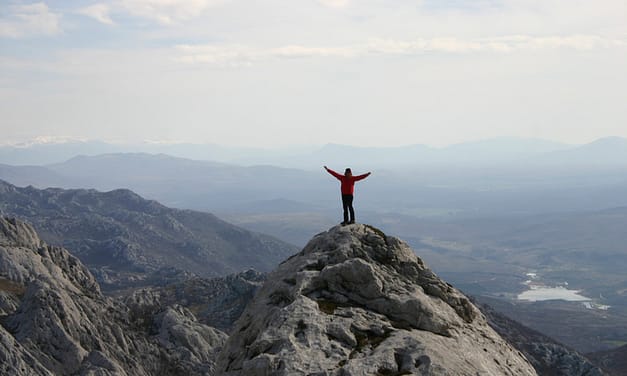 What does high performance mean to you?